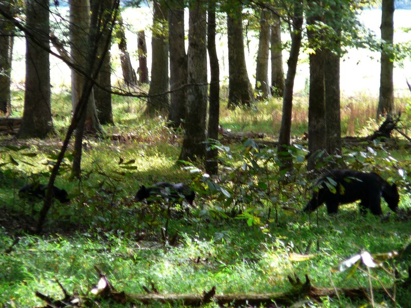 image06